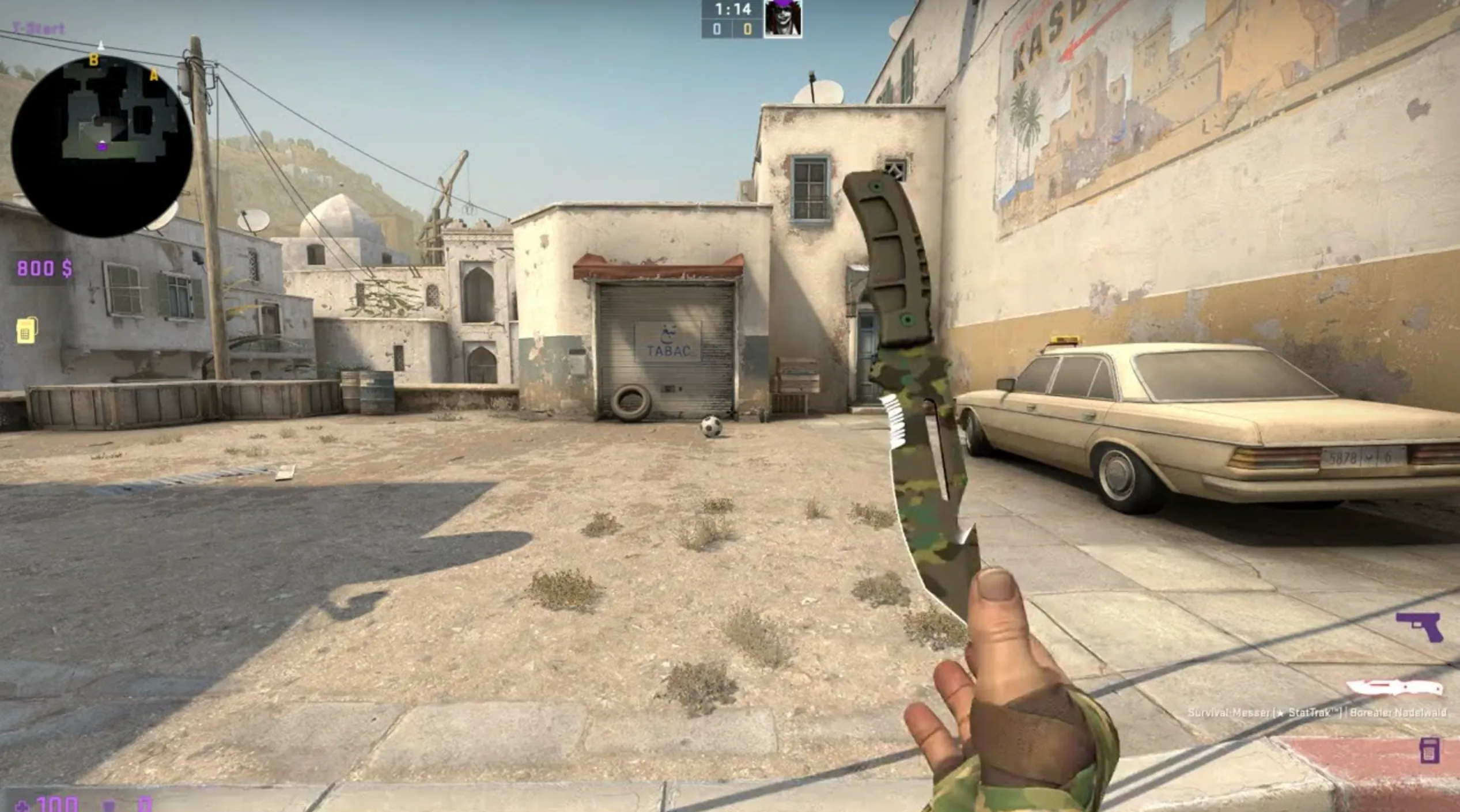 Hand Wraps Arboreal and gamma doppler knife